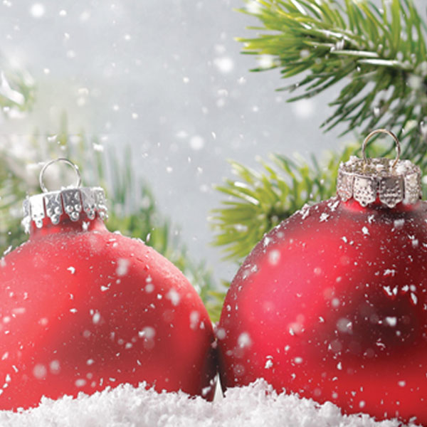 Happy Christmas From Apg